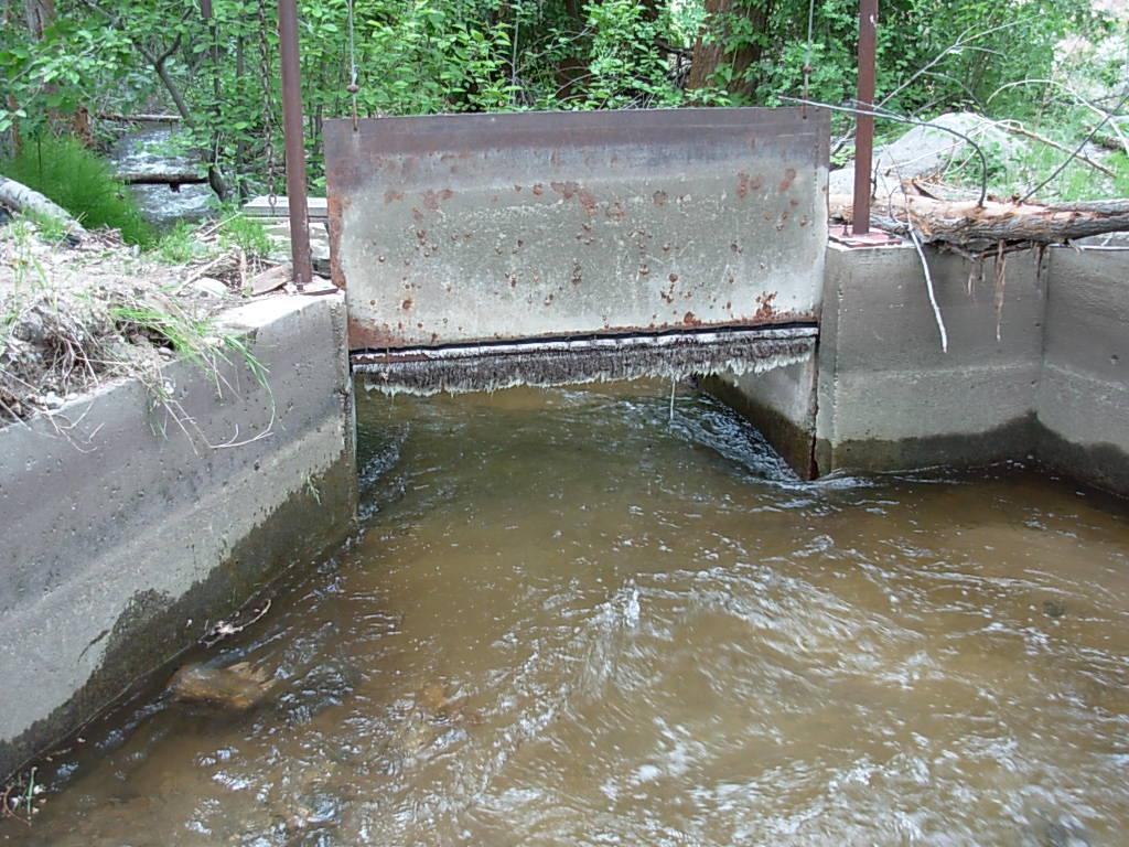 Figure 6: Loup Loup Creek diversion pictured in the open position at high flows