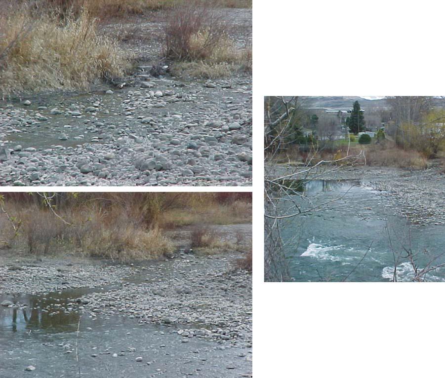 Figure 20: All panels are of the confluence of Siwash Creek to the Okanogan River (6/18/2001).