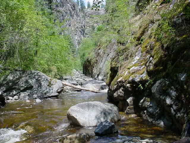 At approximately river mile 1.0, Vaseux Creek enters a canyon where minimal spawning habitat exists due to large substrate materials and high water velocities.