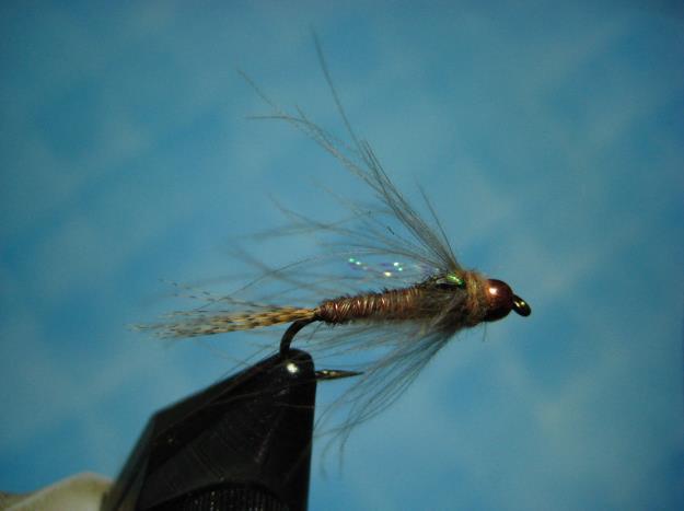 Newsletter of the Truckee River Flyfishers Page 5 LiL SPANKER PHEASANT TAIL The LiL Spanker Pheasant Tail nymph is one deadly attractor fly.