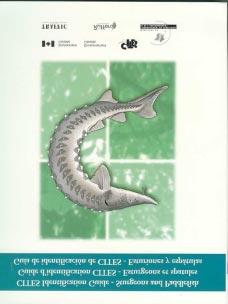 A new CITES identification guide for sturgeons and paddlefish Environment