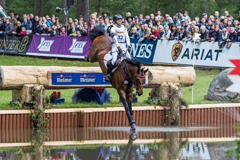 Current situation German eventing riders and horses highly successful But no targeted selection and breeding strategy for eventing in Germany Estimation
