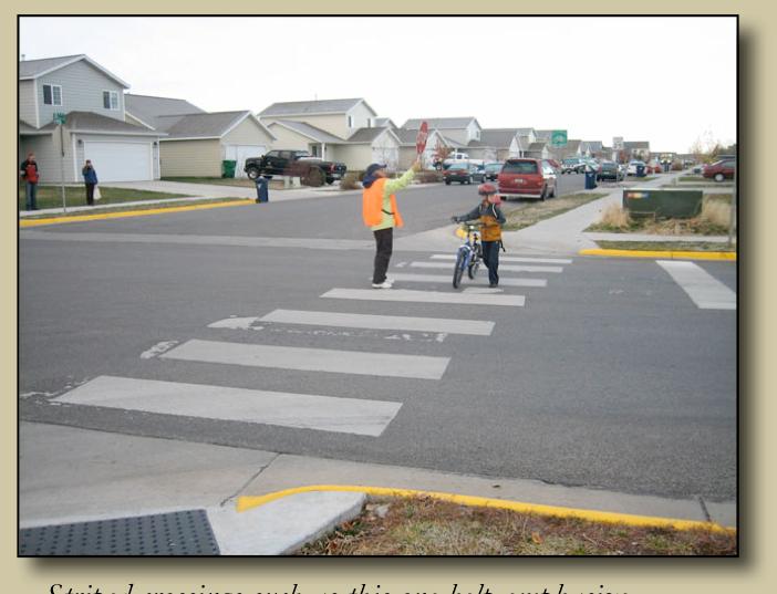 Pedestrian crossings provide visibility, access opportunities, and traffic control along preferred walking routes and across busy streets.