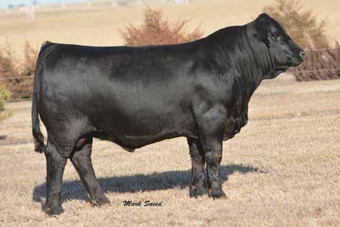CTR 198L Flush Opportunity CTR WIDE TRACK 3706A ET SON OF LOT 2 DONOR DAM.