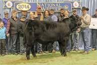 We sold 4 full ET brothers to Alumni in our 2014 Warner Beef Genetics production sale into purebred seedstock programs with other ET brothers selling into commercial programs.