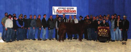 An honour well deserved and greatly contributed to by 23W. These are herd building genetics at their best.