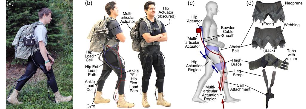Fig. 1. (a), Photograph of the system in use during walking outside. Actuators are mounted on the sides of an empty backpack, and the exosuit is worn from the waist down.