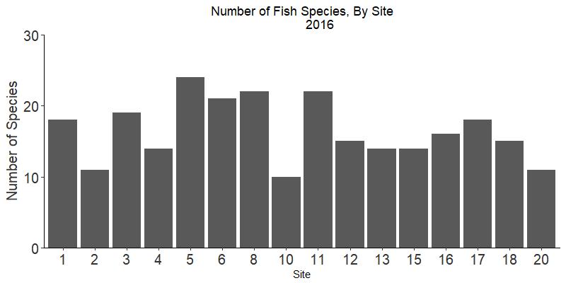 furthest up river site in the survey, with occasional occurrences of freshwater fish species during 2016. Figure 6. Number of species of fish caught per site during 2016.