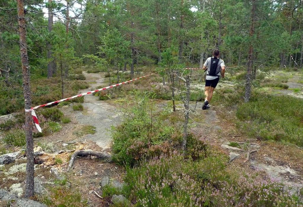 sachet. When planning the amount of energy, pay attention to the slow course on small trails. For seasoned trail runners, the course will take 25-30% longer than a road marathon.