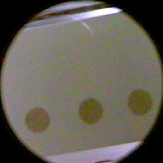 concentration. An LED (2) in the detector head illuminates the sample stain.