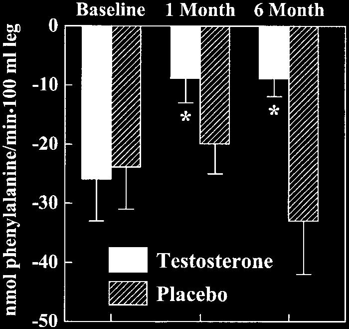 TESTOSTERONE ADMINISTRATION TO OLDER MEN E605 Fig. 2. Androgen receptor (AR) protein expression in skeletal muscle during 6 mo of testosterone administration in older men.