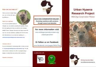relation to human-wildlife conflict with urban hyaena.