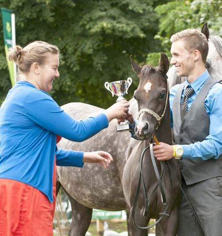 medal Champion Foal ST SAA ROHN (HASSAN