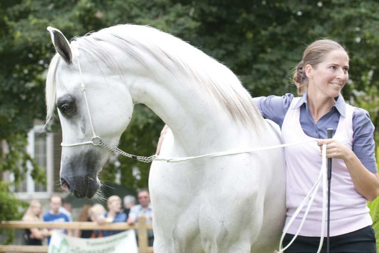 Silver medal Champion mares LETHYZIA SA (TYSON HVP x TAHINE) B: