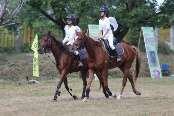 Rider will be judged on skills/position while mounted and ability to ride correctly and with