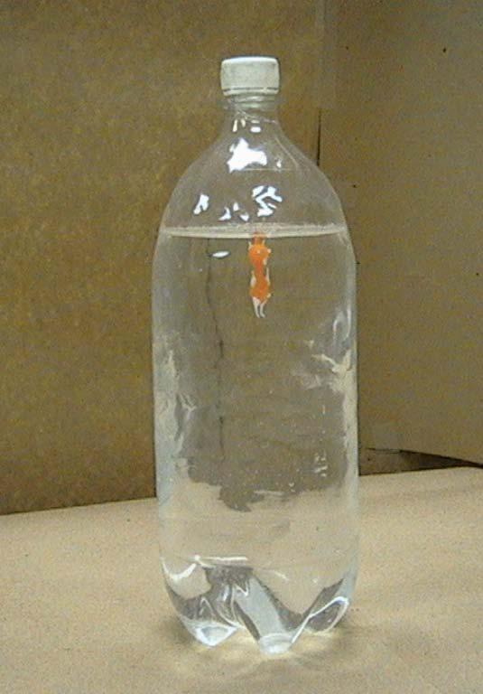 2B40.30 CARTESIAN DIVER (DENSITY AND BUOYANCY) Apparatus Notes: Cartesian diver in plastic bottle Squeeze the sides of the plastic bottle and