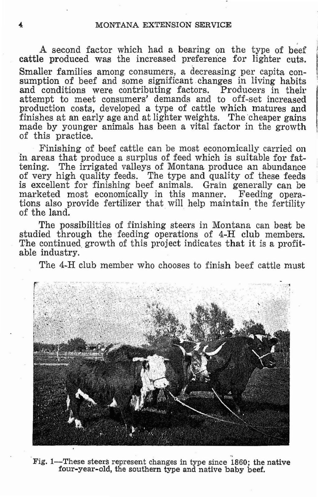 MONTANA EXTENSION SERVICE A second factor which had a bearing on the type of beef cattle produced was the increased preference for lighter cuts.