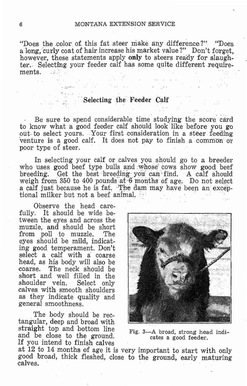 6 MONTANA EXTENSION SERVICE "Does the.color of. this fat ~steer make any.difference?" "Does a l0l1g/curly coat of hair in-crease his market value?