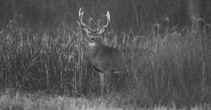 LIMITED LANDOWNER - BIG GAME APPLICATION Instruction: Separate applications must be submitted for each permit request.