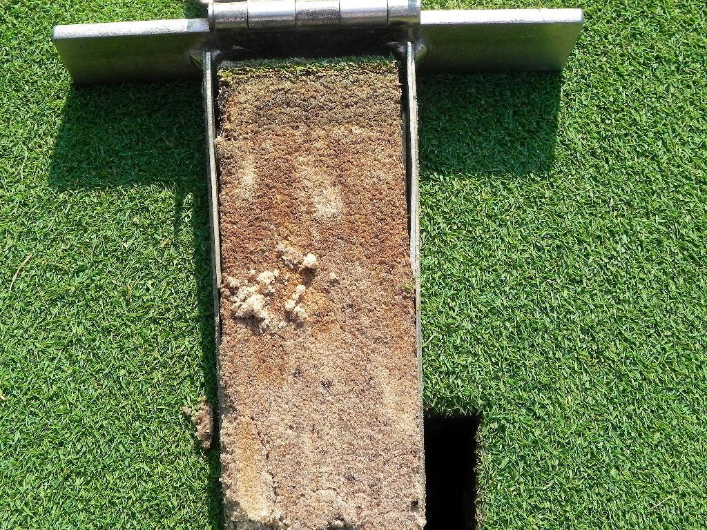 interface between the Putting green mix and the gravel blanket which can hinder drainage. However, problems such as these are rare in the Mid-Atlantic region.