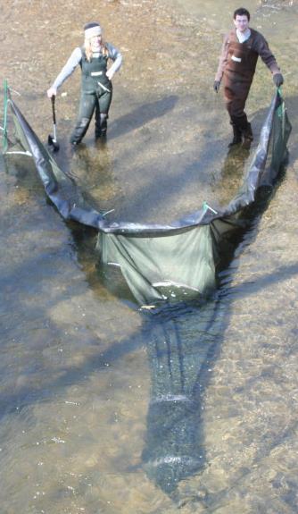 Using fyke nets to monitor glass eels Each