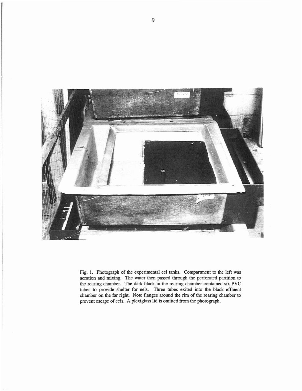 9 Fig. 1. Photograph of the experimental eel tanks. Compartment to the left was aeration and mixing. The water then passed through the perforated partition to the rearing chamber.