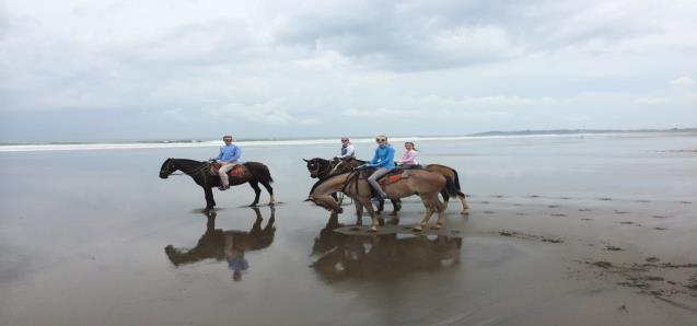Horseback Riding: Ride along the beach or in the hills of Esterillos, with views over the coastline with a cowboy guide (Spanish speaking only). Duration: 1.5 to 2 hour. Schedule: depends of the tide.