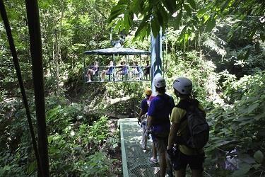 Canopy Zip Line: Take pleasure in the comforting atmosphere of the Pacific canopy zip line tour. Glide over treetops for a compelling and exciting way to have a clearer view of the rainforest.