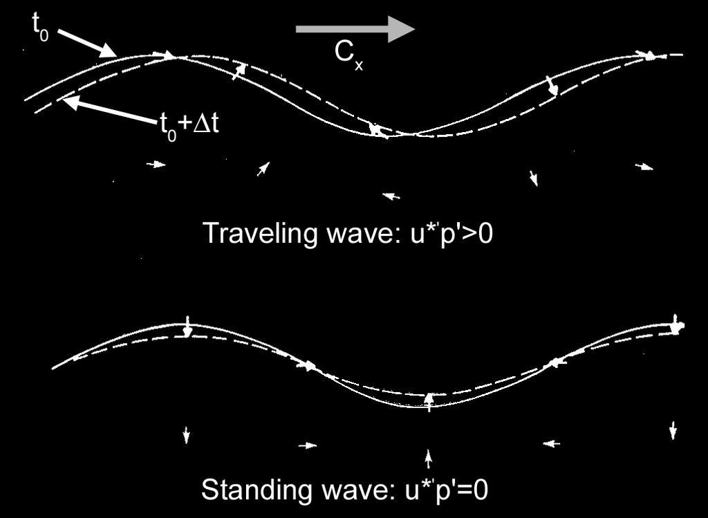 Wave polarization relationships Propagating gravity waves display