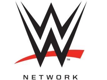 and 21 million casual fan households in the United States Over 16 million downloads of WWE Active app Consumer Products Licensing generates more than 50% of revenue for WWE s Consumer Products