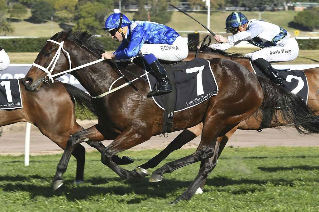 Regular rider Hugh Bowman was in the saddle and he showed once again why he is one of the worlds elite riders, not panicking when Winx badly missed the start and was soon four lengths from the rest