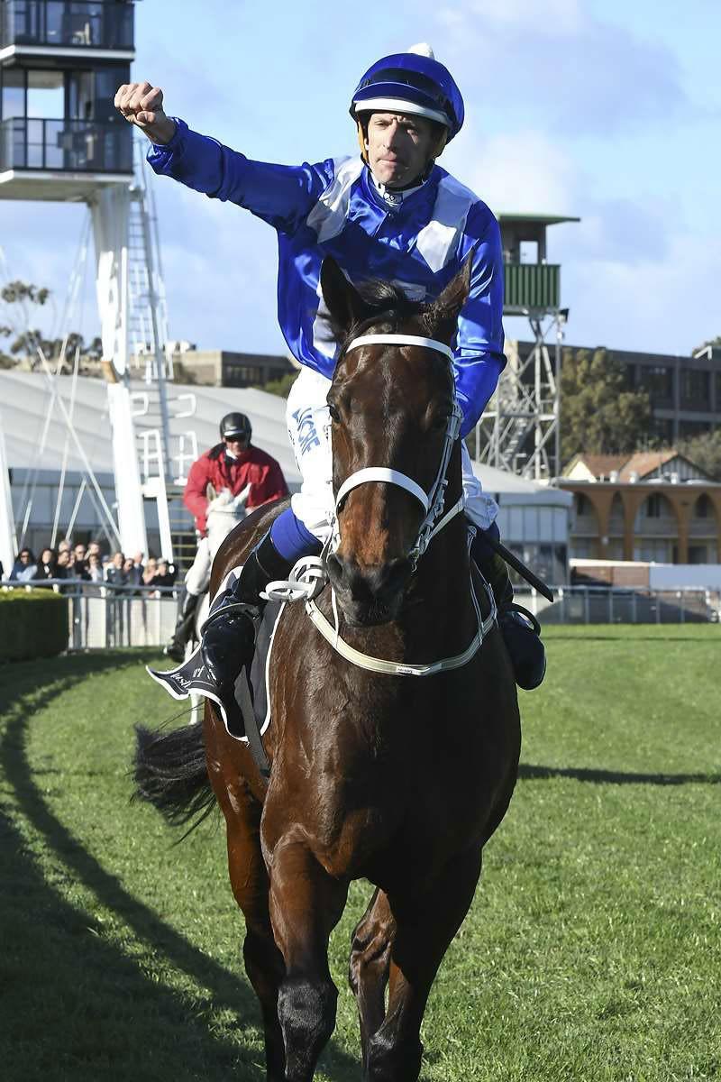 l Winx s Amazing Win Also Produced Amazing Sectional Times Champion mare Winx s (Street Cry) amazing first up win in Saturday s Warwick Stakes (Gr 2, 1400m) at Randwick also produced some amazing