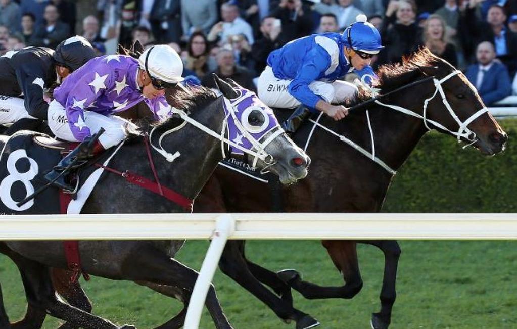 A GROUP 2 SECOND TO WINX IN A BRILLIANT RETURN BY FOXPLAY It's not often owners rejoice when running second, but the top notch effort by our Group 1 winning mare FOXPLAY to almost pull off "the
