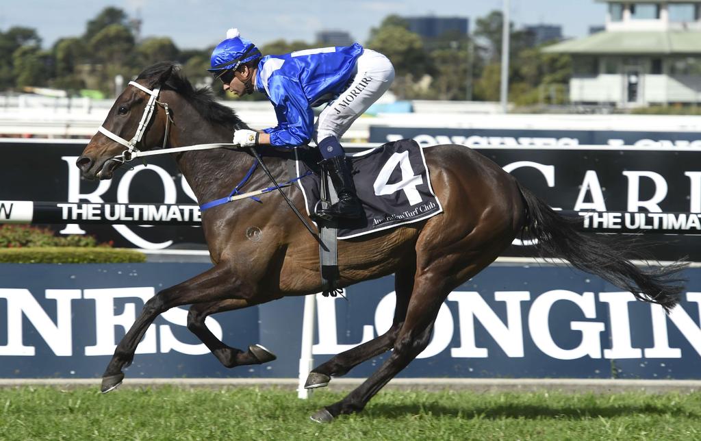 GEARING UP FOR SPRING - mccreery Heading into the spring carnival, we give some insight into the campaigns of some of our stable stars.