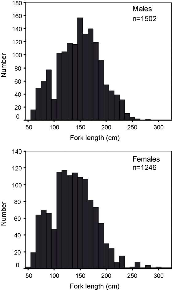 S.E. Campana et al. / Fisheries Research 73 (2005) 341 352 351 Fig. 7. Long-term changes in the median fork length of makos caught by Japanese (solid squares) and Canadian (open circles) pelagic longliners.