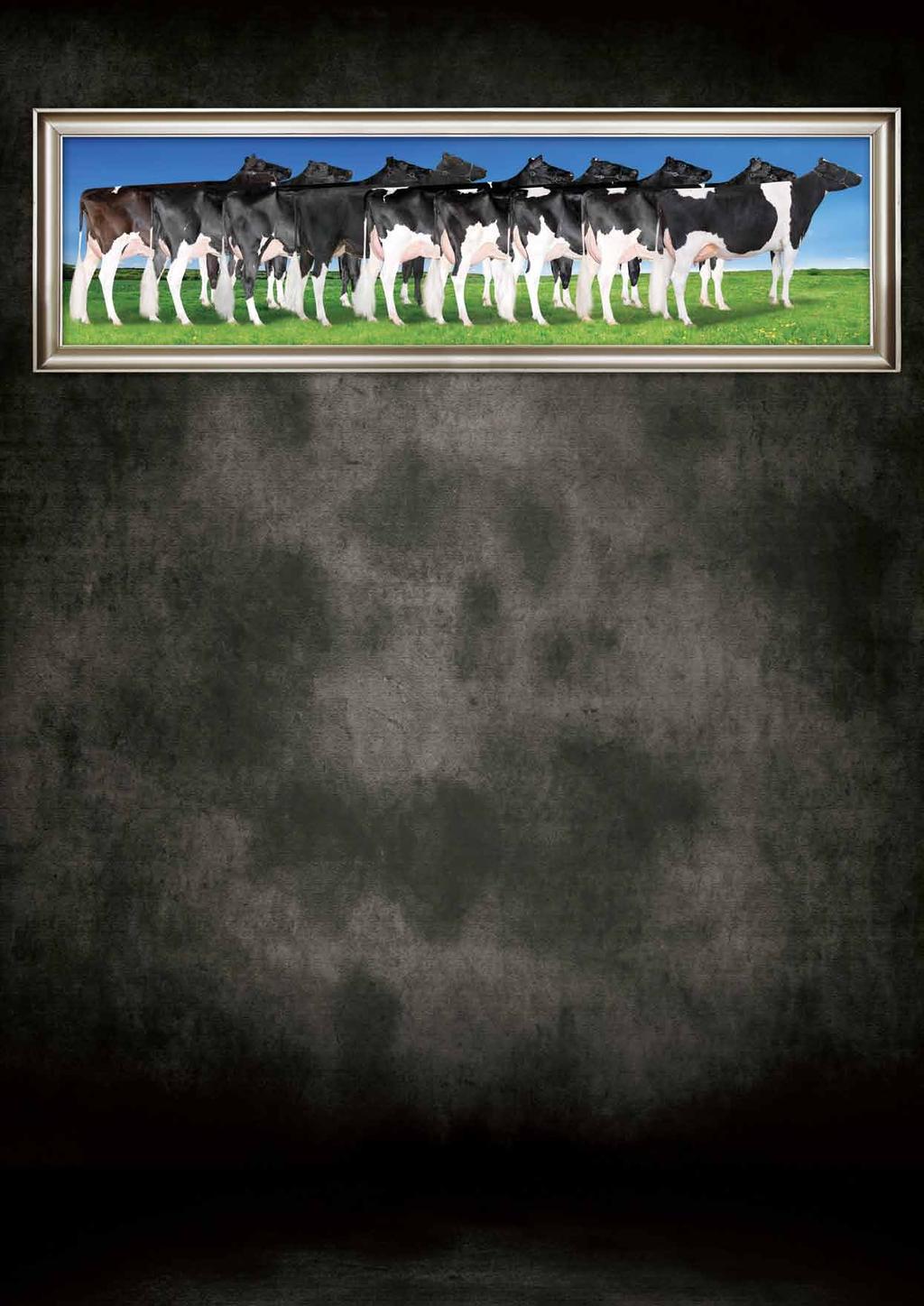 Your Source for Goldwyn Sons Page 3 SEMEX: Your Source For Goldwyn Sons Page 4-5 MODERN BALANCED BREEDING: Beyond The Typ(e)ical Page 6-7 A New Look At: Herd Life Page 8-9 INCREASE PROFITS: Reduce