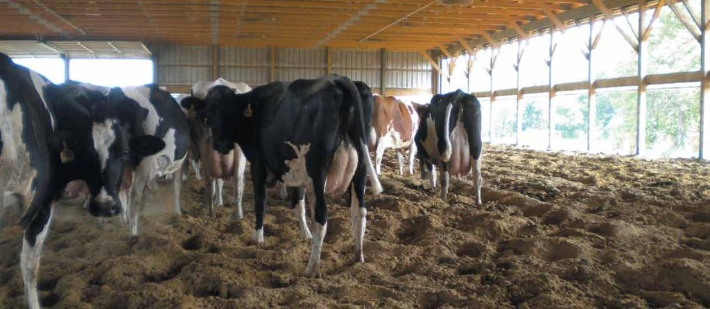 Semex Success: Kings Benefit From Semex Solutions Elizabeth Kempel, Semex USA Dairy Genetics Consultant Brothers Keith and Brian King are the second generation to dairy on their 150-acre farm near