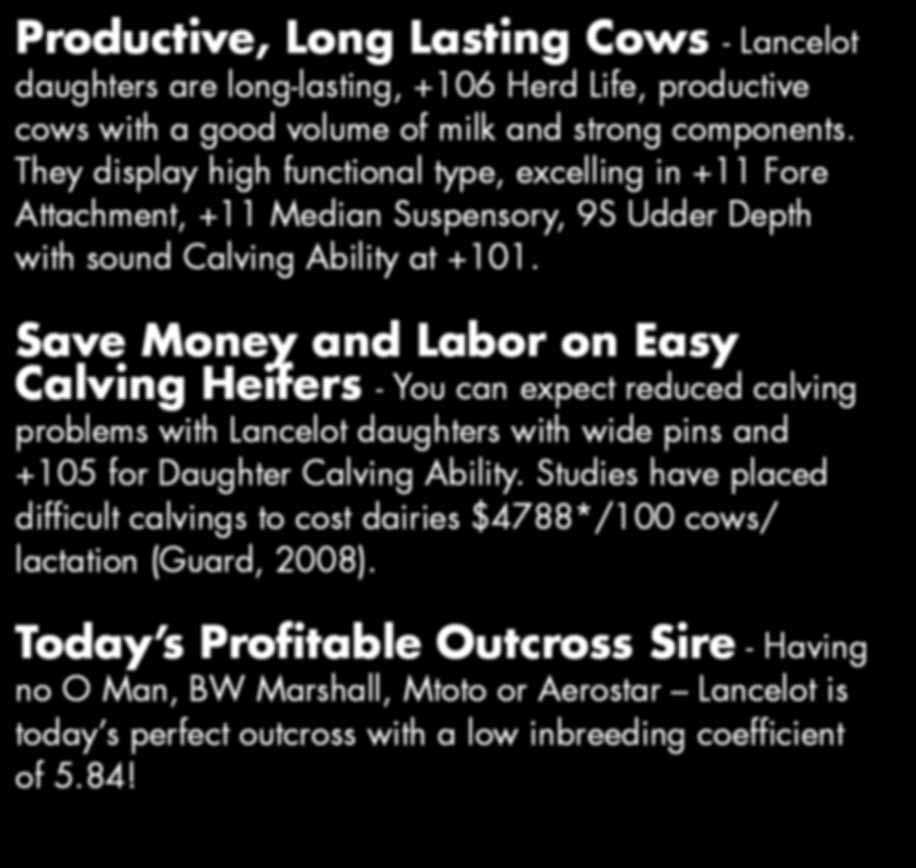 , Hammond, WI, USA Photo: Nick Sarbacker Productive, Long Lasting Cows - Lancelot daughters are long-lasting, +106 Herd Life, productive cows with a good volume of milk and strong components.