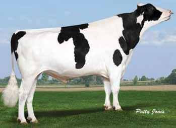 Today s Profitable Outcross Sire - Having no O Man, BW Marshall, Mtoto or Aerostar Lancelot is today s perfect outcross with a low inbreeding coefficient of 5.84! Breeder : BOMAZ INC.