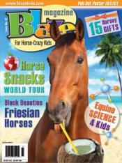 Morgan Horse, Sable Island Horses, Red Alert (Sun