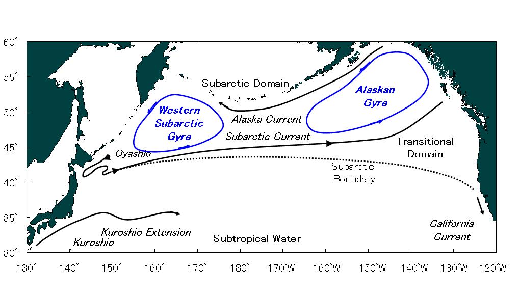 Migration of Japanese stocks of chum salmon Nursery (Summer & Fall) Feeding & Growth