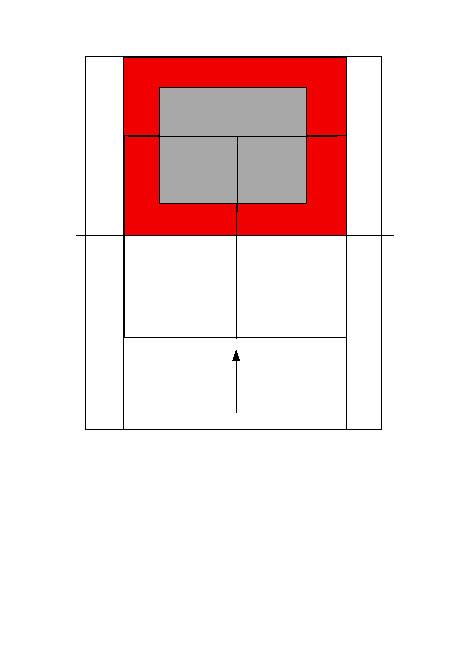 Forcing zone 20% Central area 80% Fig 2. The forcing zone. Shown in red the forcing zone is typically where 20% of all shots land.