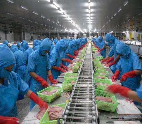 20 YEARS OF GROWTH Vinh Hoan was founded Listed on HOSE Total processing capacity: 150MT/day Became the #1 pangasius company Started production of
