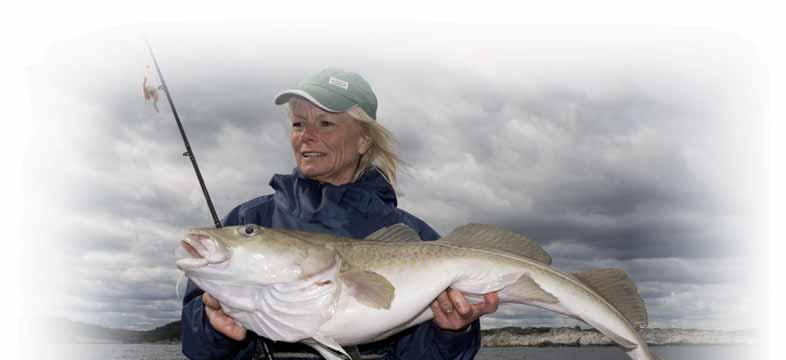 HARD BAITS - PILKS Sillen Has ever since it was introduced been noted for catching big fish. One of the most spectacular is the 34,5kg cod becoming the new Norwegian record.