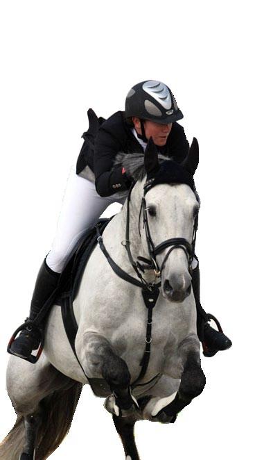 Page Eight Bella Baloubet Approved Holsteiner Stallion, born 6/7/2001 His sire is the triple World Cup champion and gold medal Olympian Baloubet de Rouet, by one of the