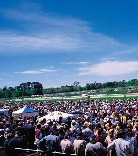 03 Race Meetings in Victoria attract attendances of more than 1.8 million introduction & background The Economic Impact 2013 2006 Economic value of racing $2.8 bil $2.