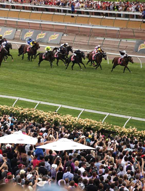 48 Tourism & Export CASE STUDY spring racing carnival The nexus between the racing industry and tourism has been established over many years.