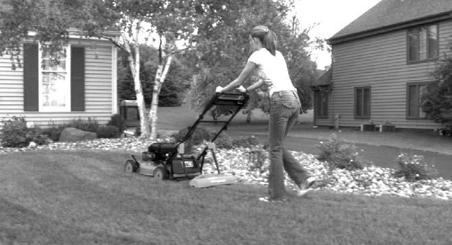 Lawn Care Tips: Lawn Care Tips Continued: It is important to have a healthy lawn in order to experience all of the benefits of the Lawn Stryper TM attachment.