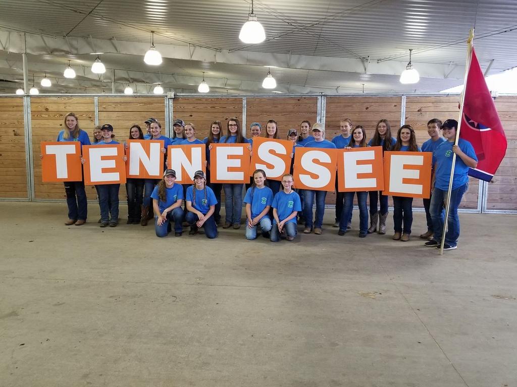 Page 6 Tennessee 4-H Ideas TENNESSEE 4-H MEMBERS EXCEL AT SOUTHERN REGIONAL HORSE CHAMPIONSHIPS Claudia Baney, Extension Specialist Thirty-six Tennessee 4-H horse project members recently returned