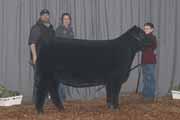 overall at Hoosier Beef Congress last year. This female has that same sound structure and rib shape.